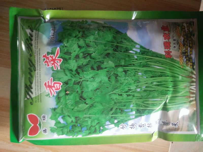铁杆青中叶香菜种子适合秋冬季储存