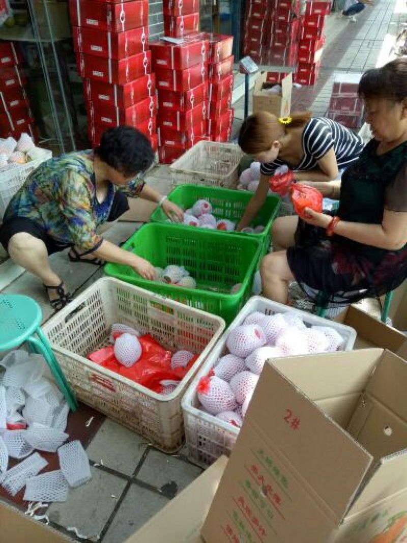 突尼斯软籽石榴8两~1斤，货源充足，产地直发！