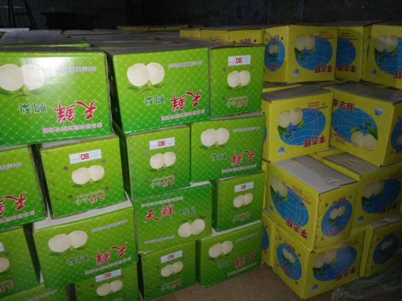 鸭梨100~150g纸加膜