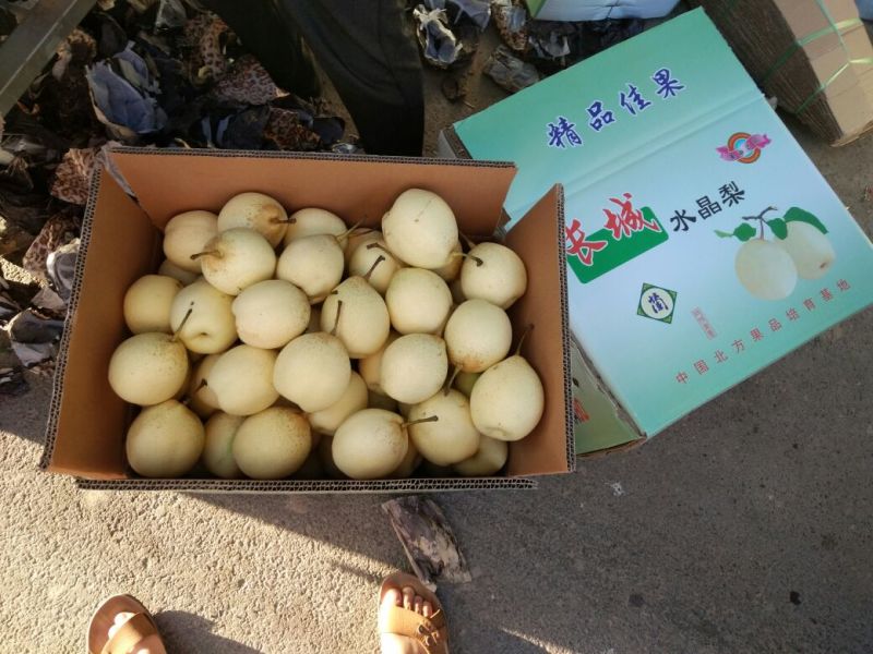 鸭梨100~150g纸加膜