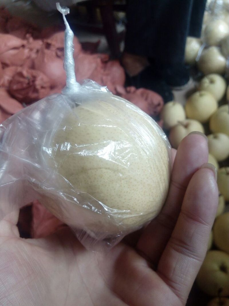 酥梨200~250g纸箱