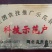 【推荐】茭白种苗美人茭白苗产地直供一手货源全国发货