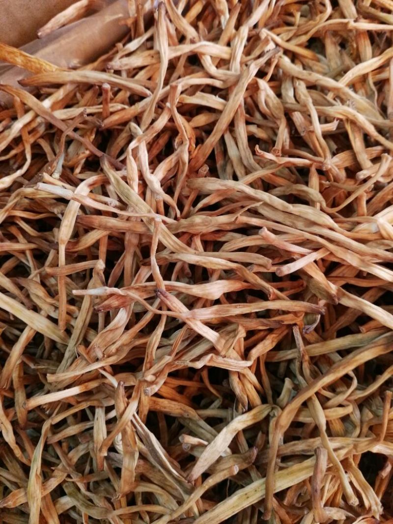 陕西大荔黄花菜，产地直销，价格实惠，欢迎订购。