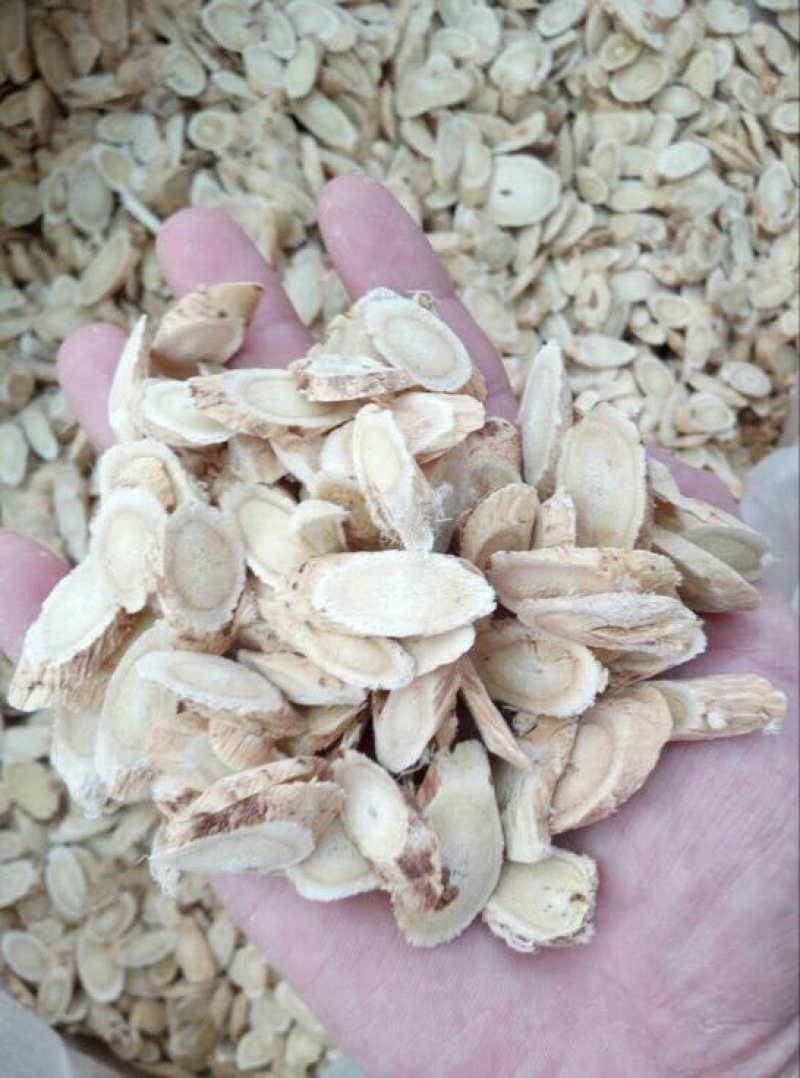 黄芪0.3~0.5cm