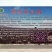 大板黑瓜子包装