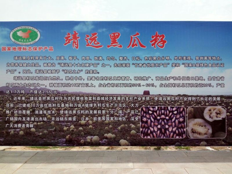 大板黑瓜子包装