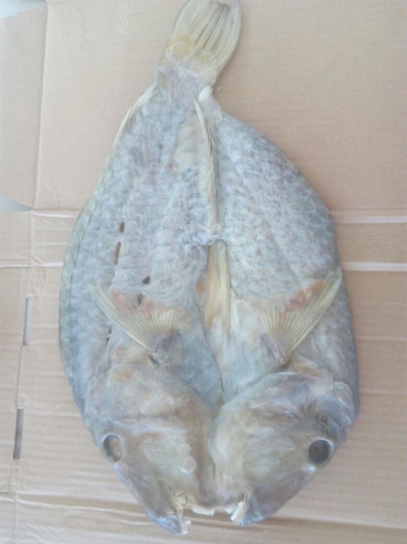 鱼干