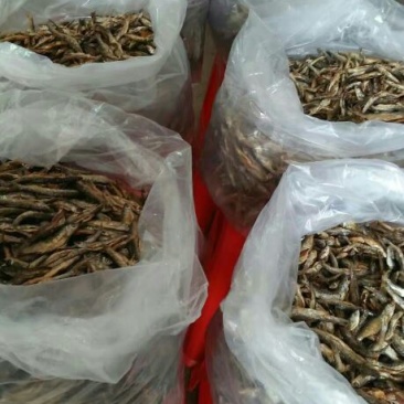 鱼干炸鱼干