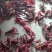 小龙虾食用活虾1两
