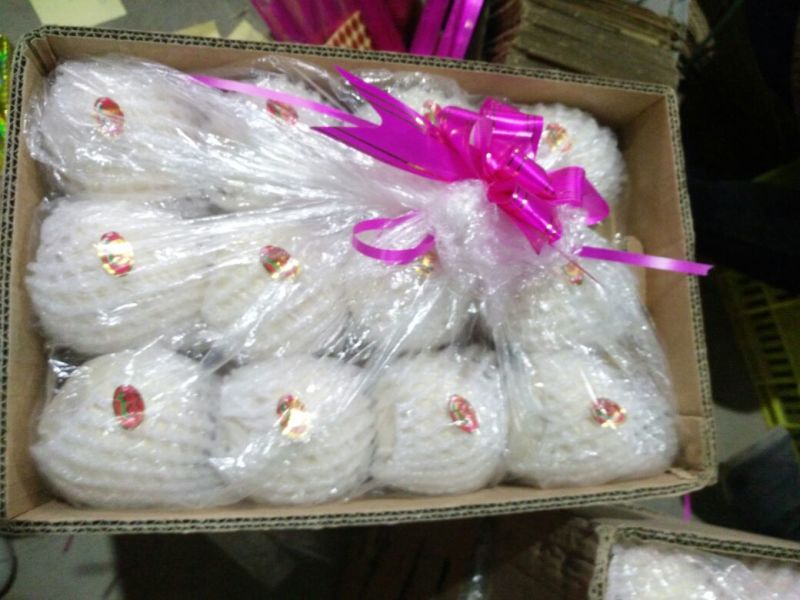 【优质】陕西蒲城酥梨，基地直发，纸袋150~200g