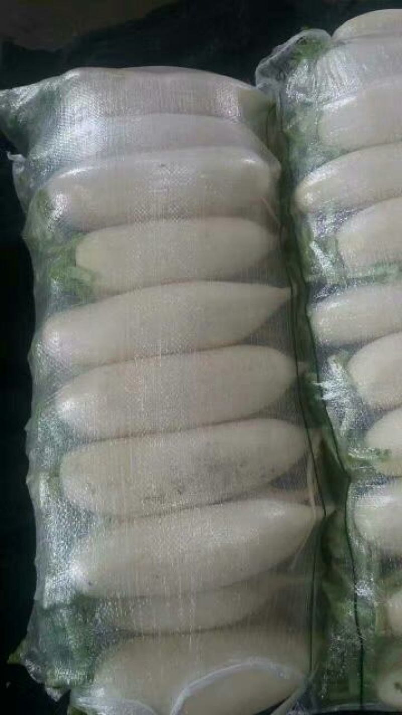 白萝卜1~1.5斤起