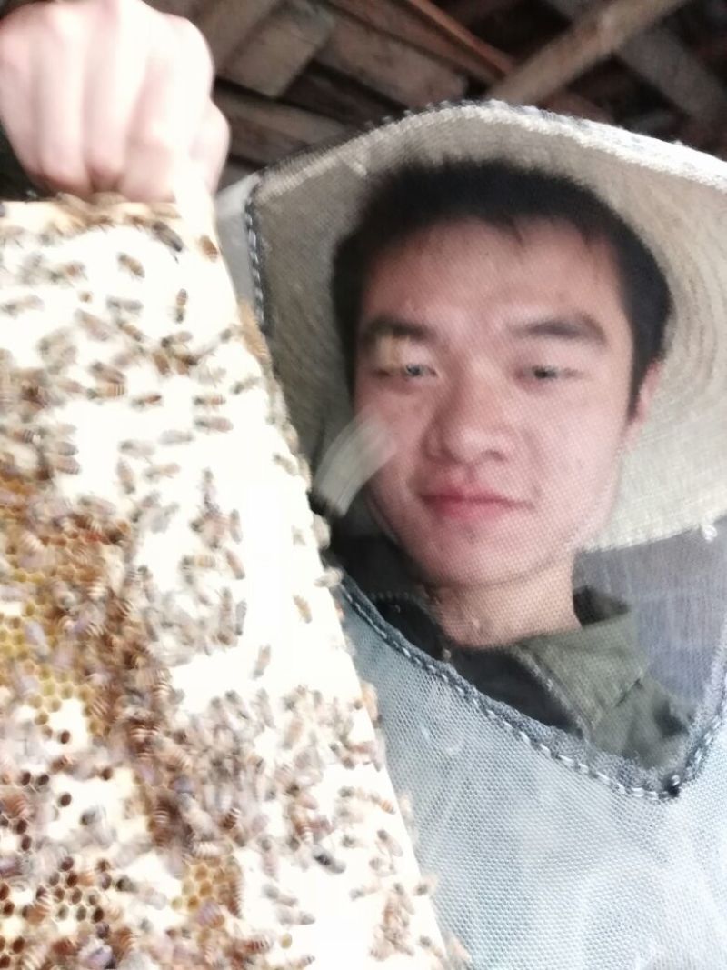 土蜂蜜百花蜜