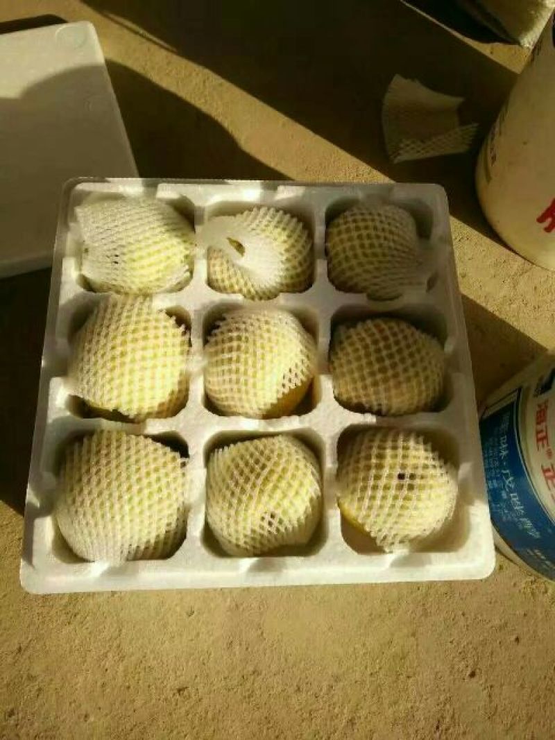 酥梨250~300g纸箱
