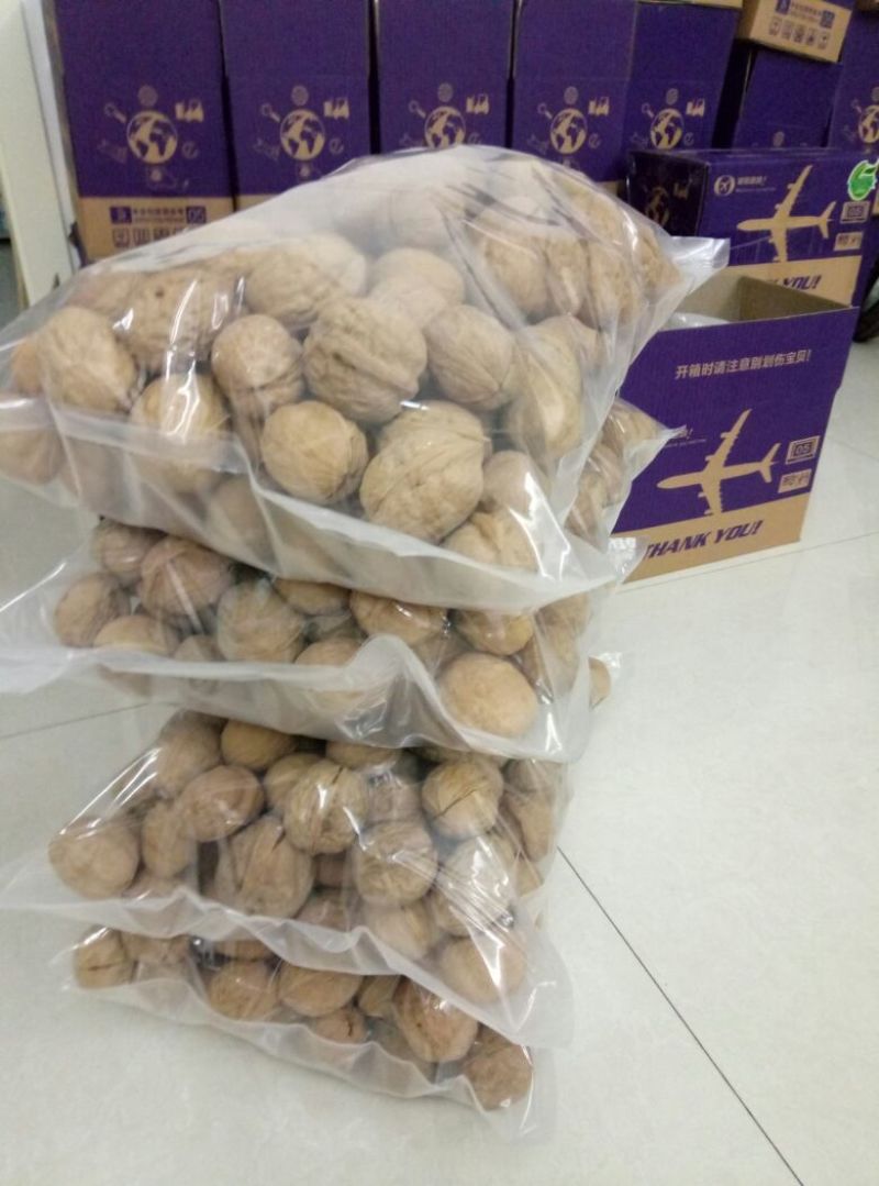 纸皮核桃去皮干