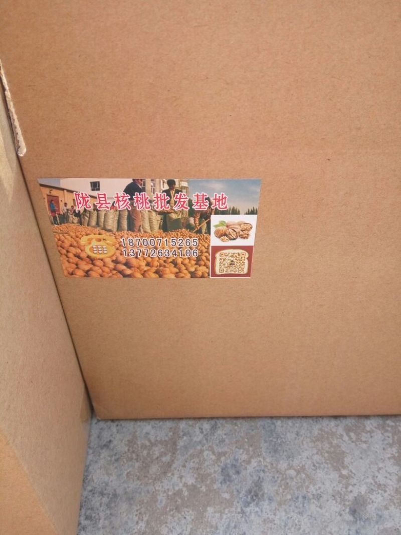 薄皮核桃30mm以上去皮干