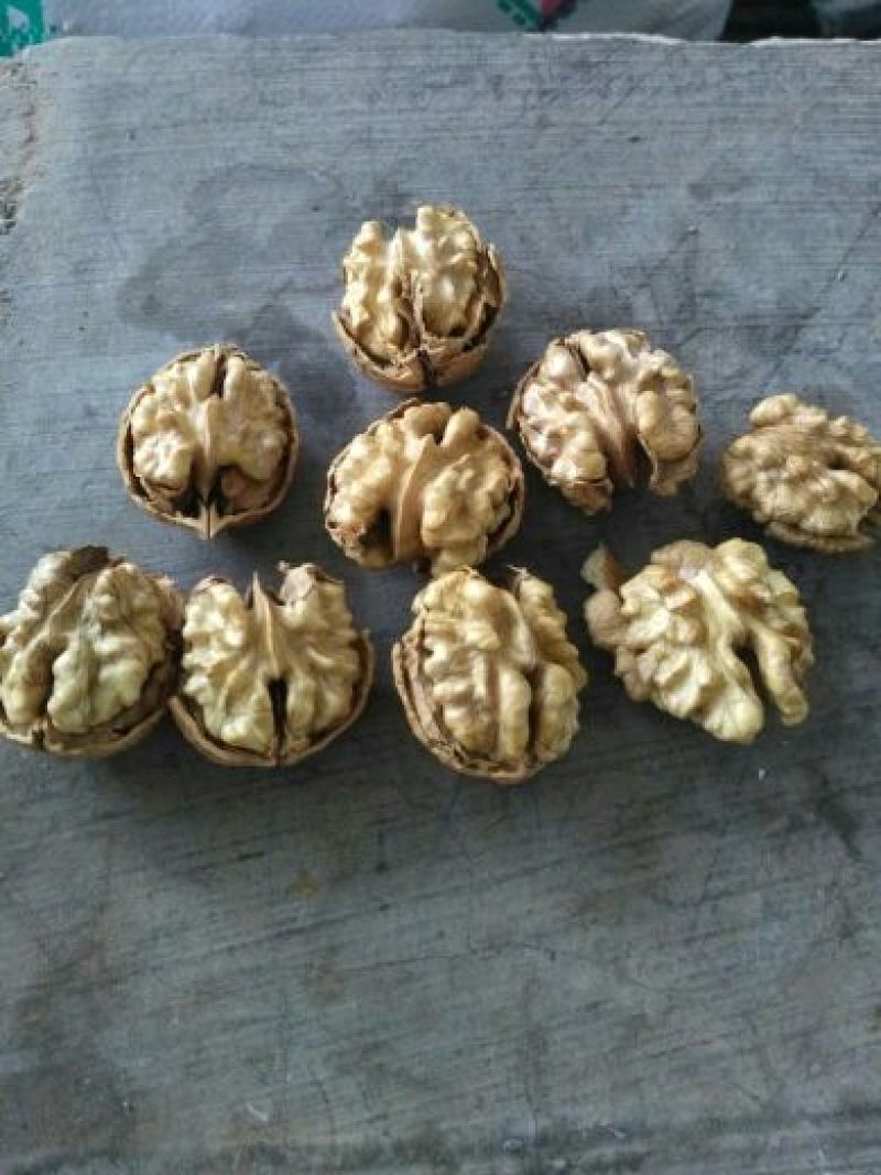薄皮核桃去皮干
