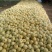 砀山梨250~300g光果