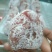 柿饼1~2两