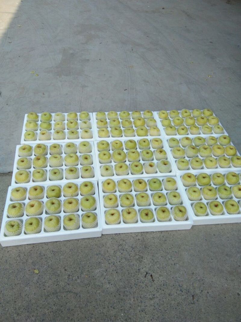 酥梨250~300g光果