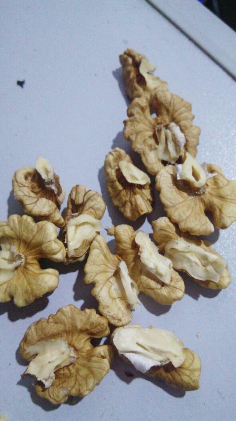 山核桃去皮干