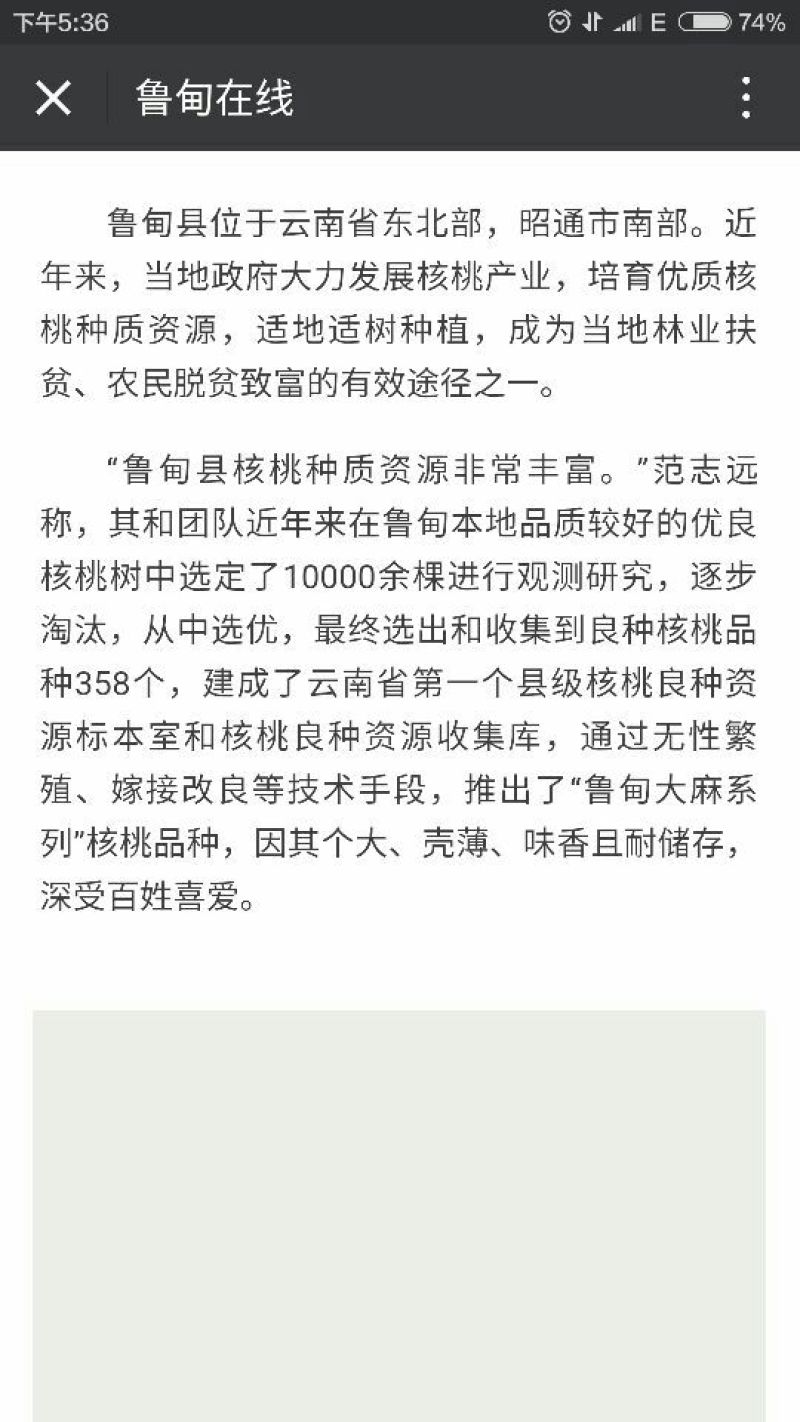 山核桃30mm以上去皮干