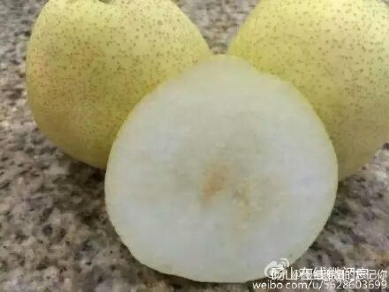 酥梨200~250g纸箱