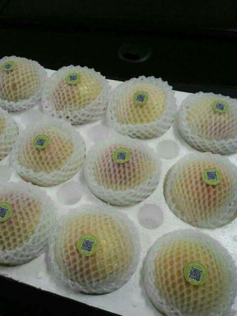 酥梨350~400g纸箱