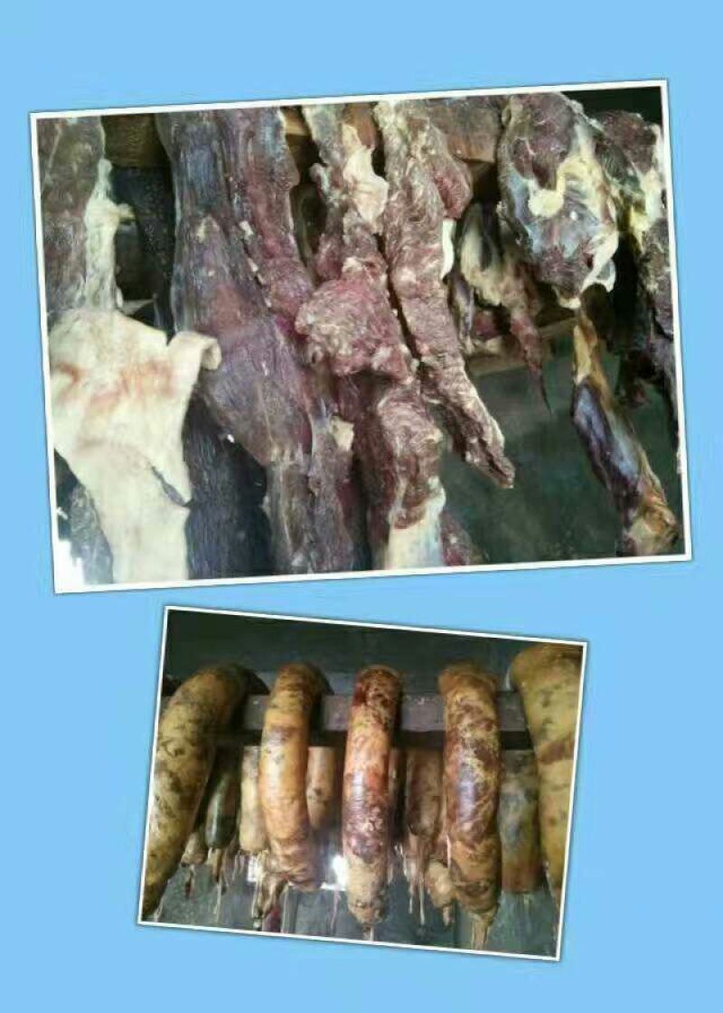 牛肉干鲜肉黄牛肉