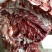驴肉鲜货