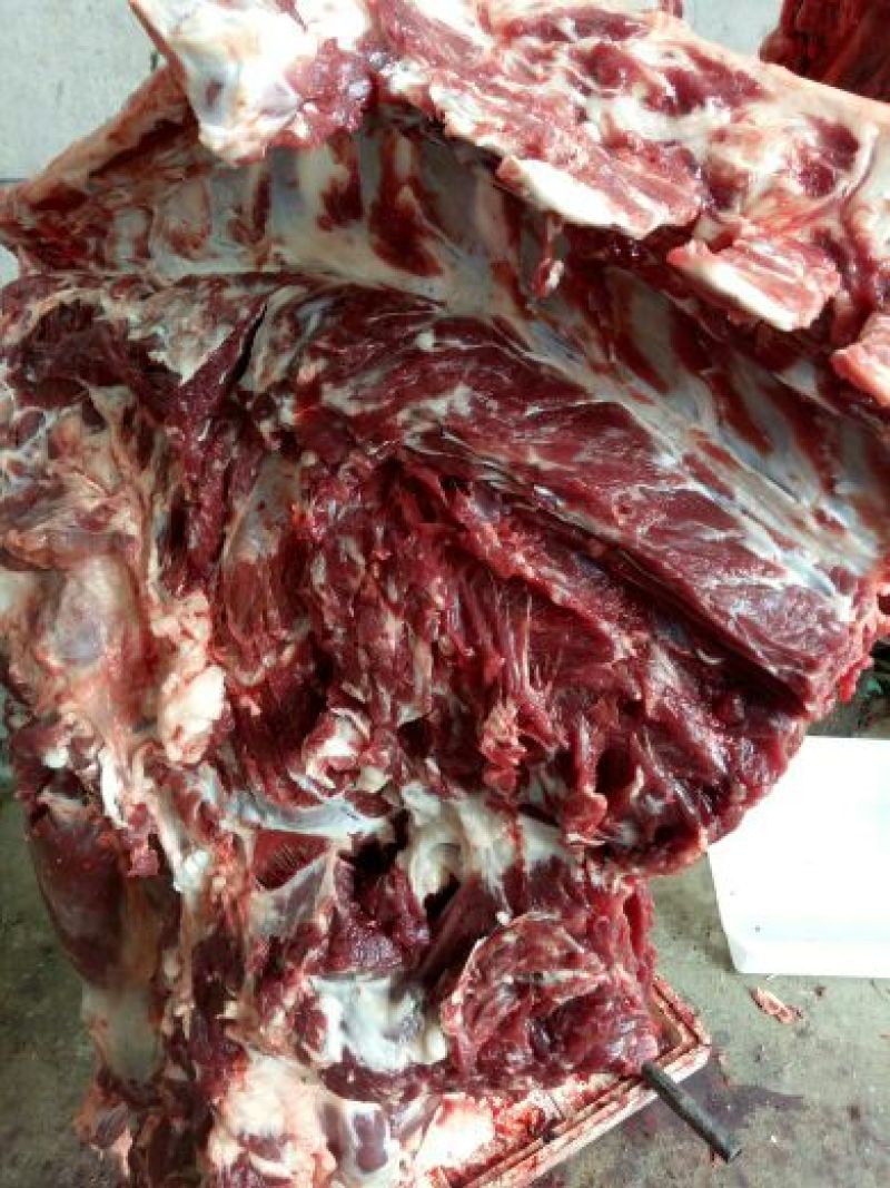 驴肉鲜货