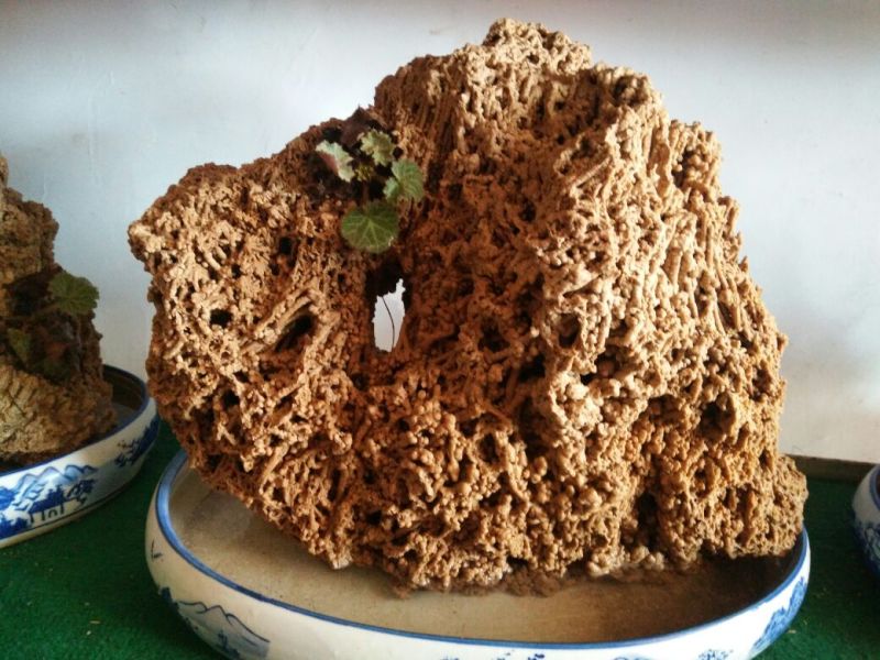 上水石石质上品形状各异质量保证规格齐全发货及时