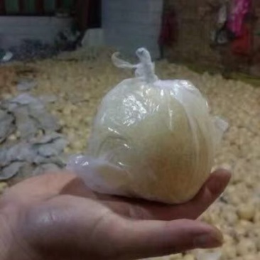 酥梨
