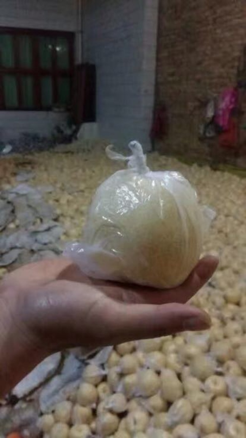 酥梨
