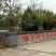 柿饼1~2两