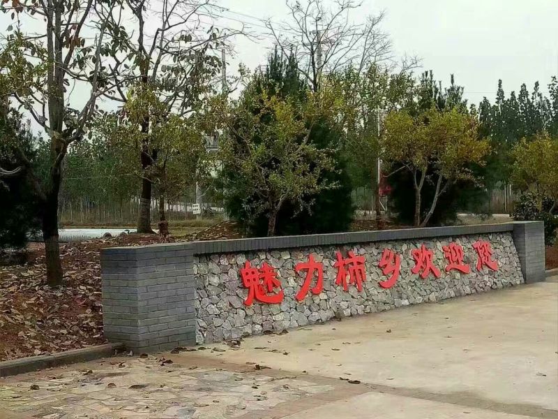 柿饼1~2两
