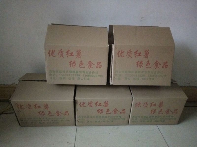 秦薯五号白心3两以上陕西红薯规格齐全现货供应中