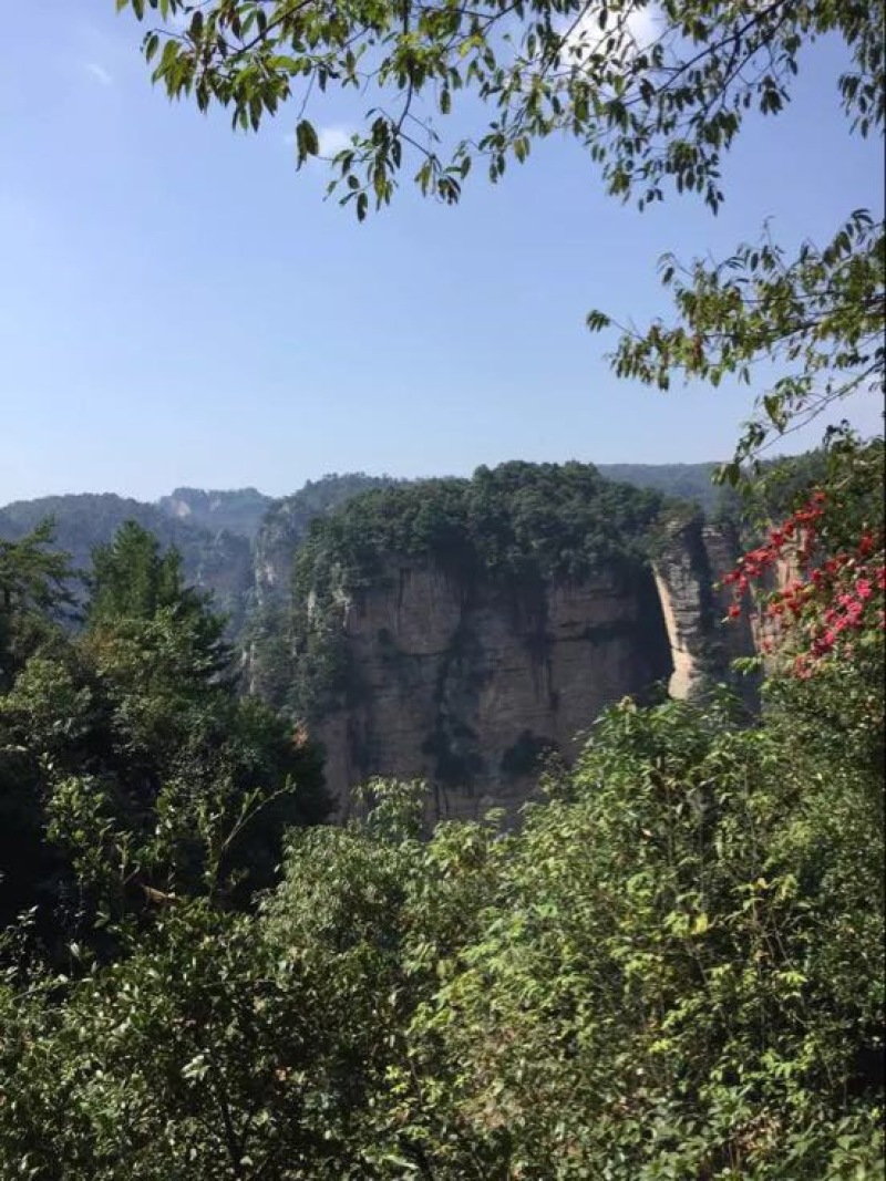 压榨菜籽油