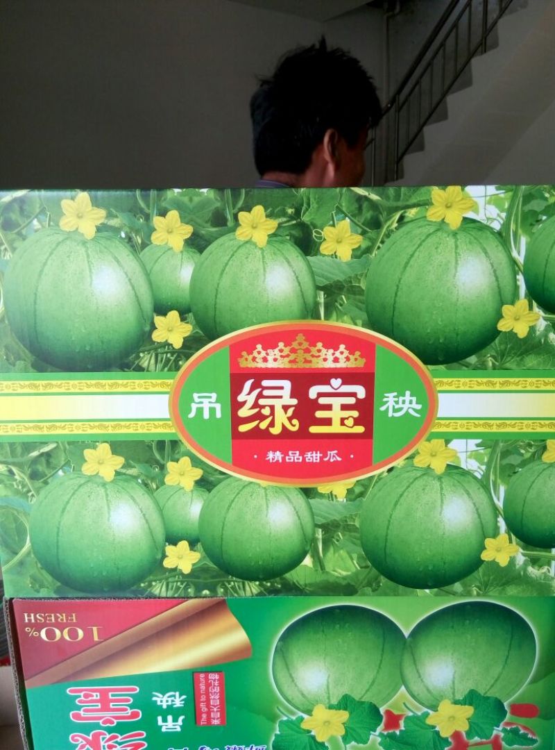 绿宝甜瓜1斤以上精品，欢迎新老客户前来选购。