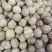 新疆核桃30mm以上去皮干