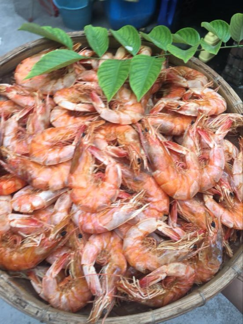 对虾干