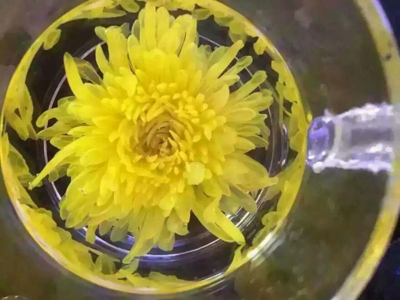 菊花茶