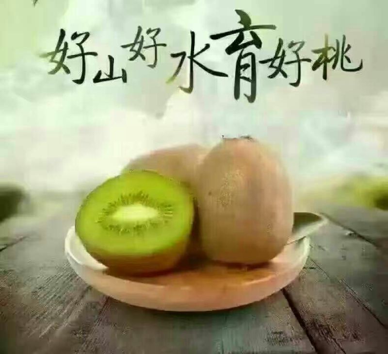 陕西徐香猕猴桃，优选猕猴桃，全国发货，质量保证，欢迎选购