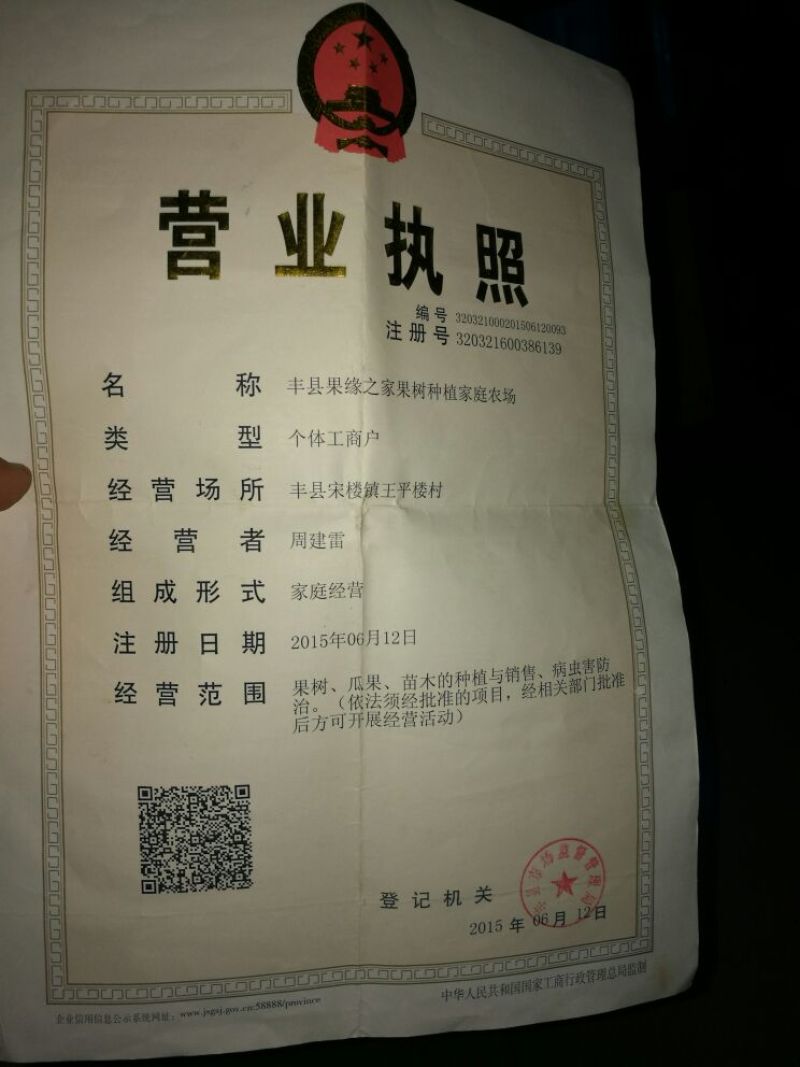 桃树苗80cm以上