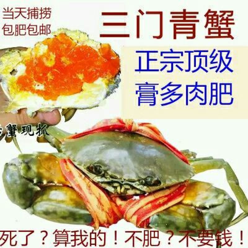 锯缘青蟹食用雄蟹