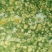 菊花茶