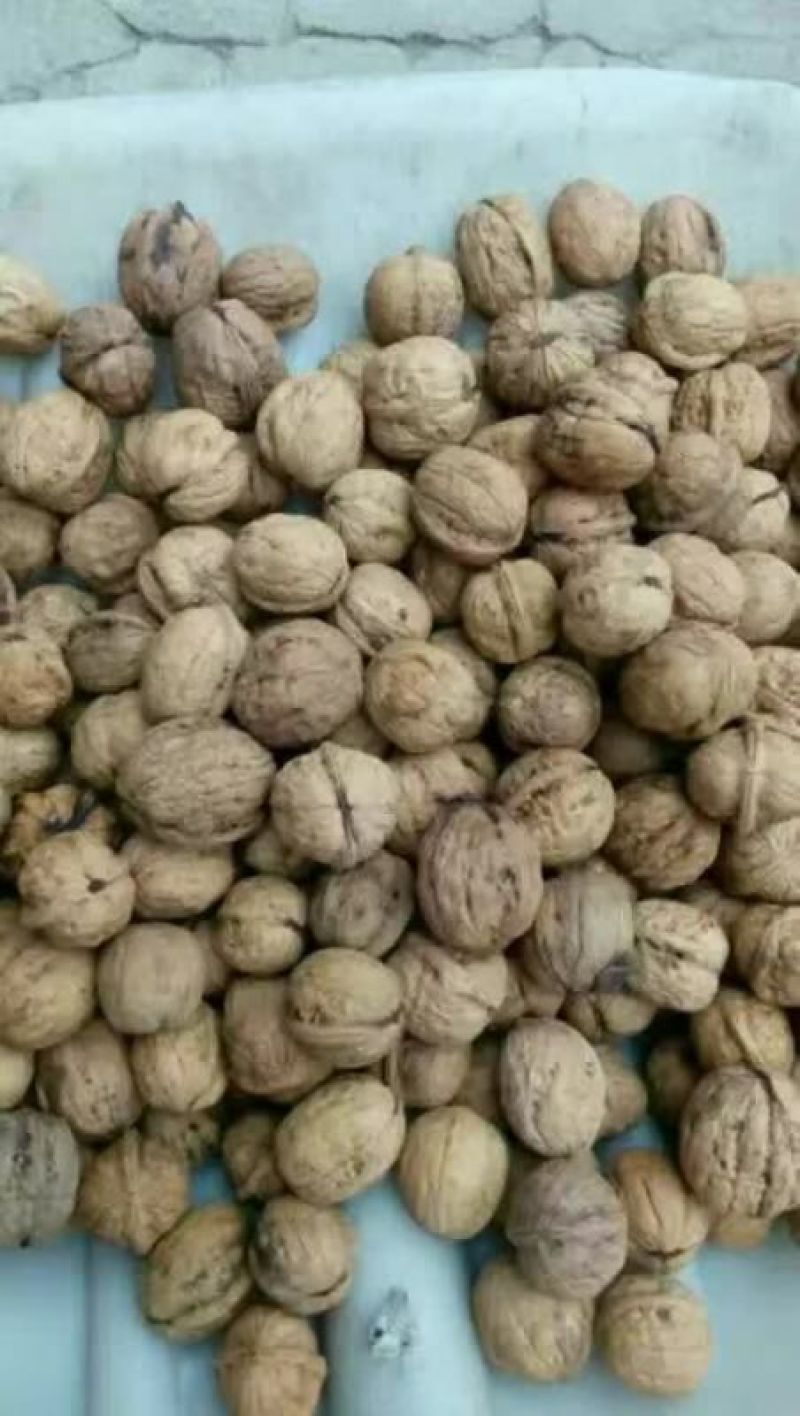 薄皮核桃去皮干