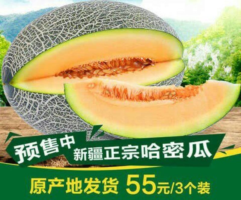 新甜哈密瓜2斤以上长圆形