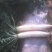 萝卜1.5~2斤起