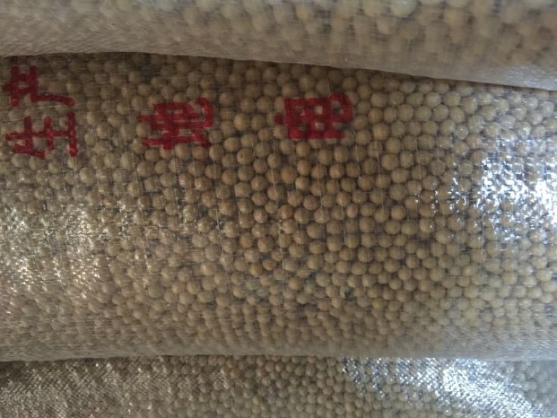 油豆