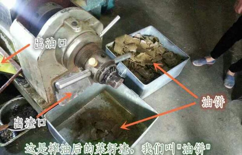 菜油一级